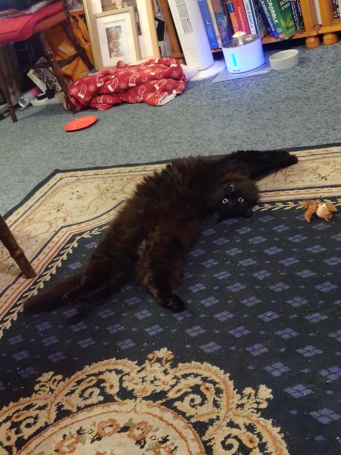 And Today On Strange Yoga Sleeping Positions