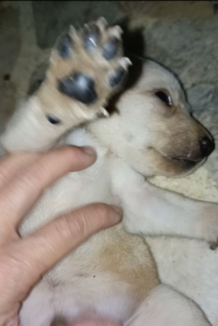 So Hard To Get Pics Of Those...beans!