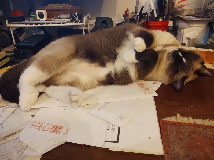 Phillip, After Too Much Internet😽