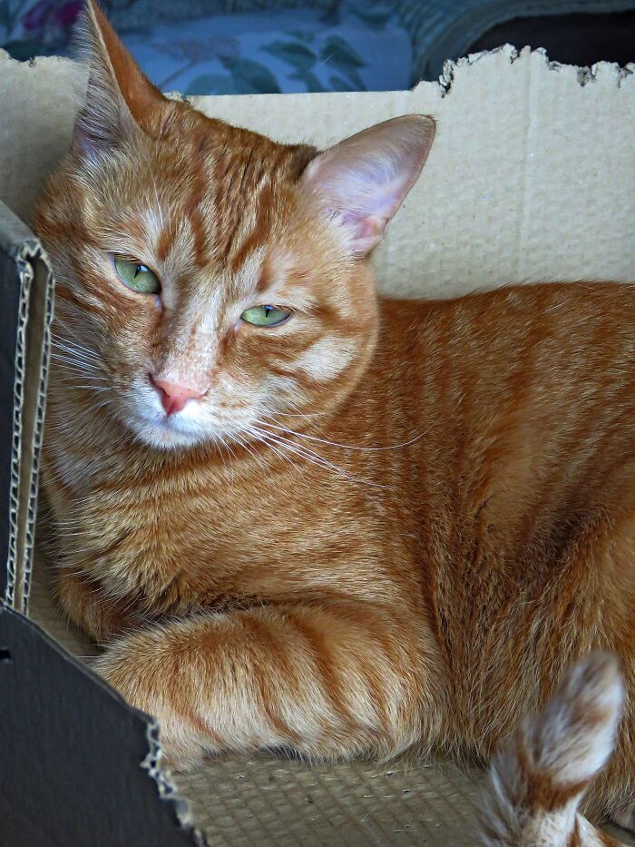 My Sweet Boy, Milenko 💖