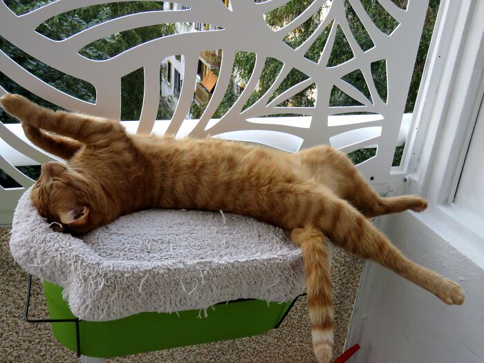 This Is The Beginning Of Turning Into A Liquid Form, Slowly Seeping From The Lounger