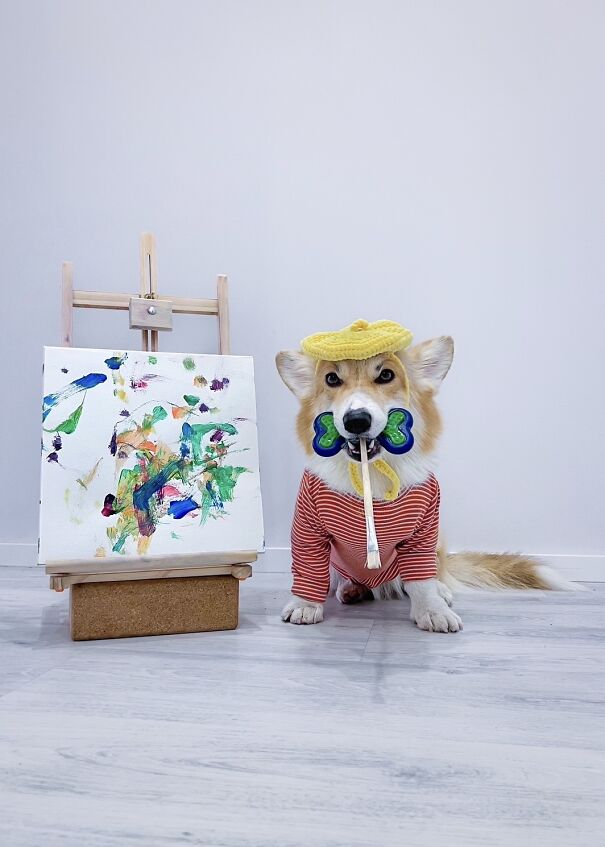 Meet Kobis - A Corgi That Knows Over 60 Tricks Including Riding A Skateboard, Painting, Playing Basketball And More