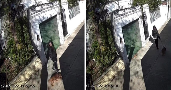 After Being Thrown Away By A Presumed Owner, This Dog Has Been Given A Second Shot At Life With The Help Of Local People