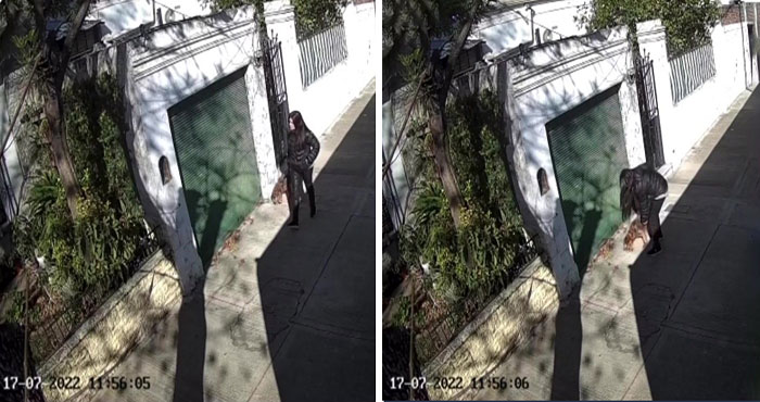 After Being Thrown Away By A Presumed Owner, This Dog Has Been Given A Second Shot At Life With The Help Of Local People