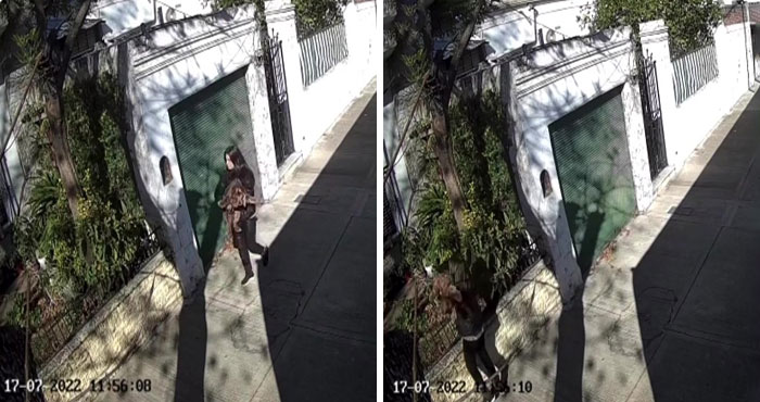 After Being Thrown Away By A Presumed Owner, This Dog Has Been Given A Second Shot At Life With The Help Of Local People