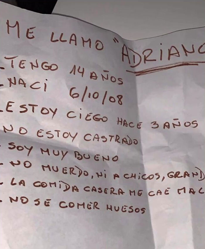 After Being Thrown Away By A Presumed Owner, This Dog Has Been Given A Second Shot At Life With The Help Of Local People