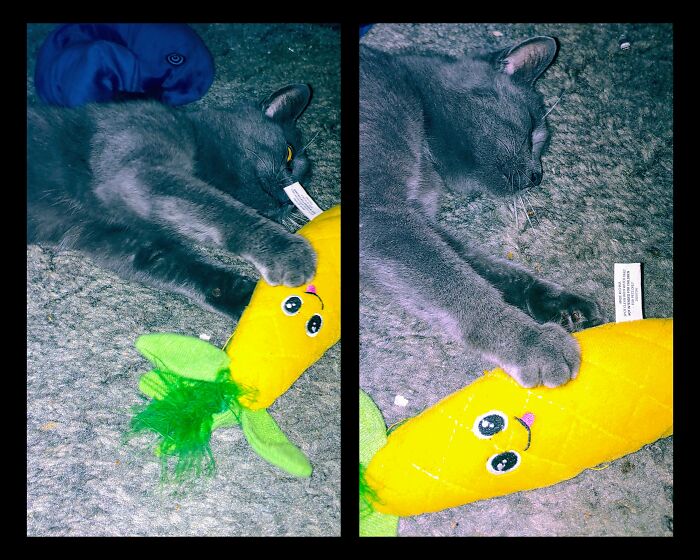 I Wish I Could Find Anything That Would Give Me Such Peace And Joy As Baba Yaga Gets From This Banana