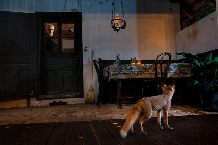 Photographer Watching Subject