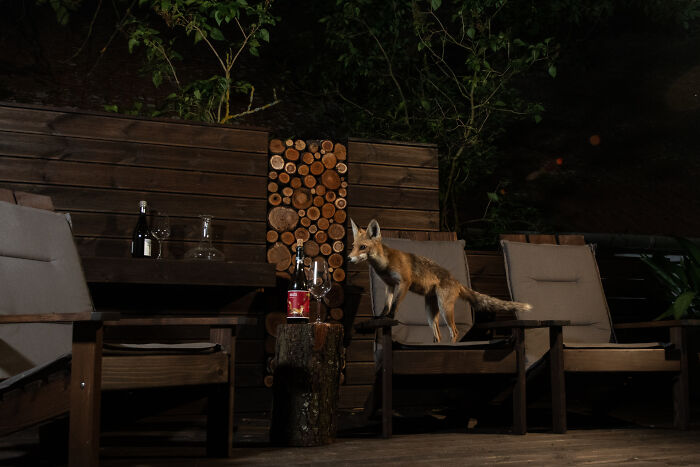 On The Way To Hedonism