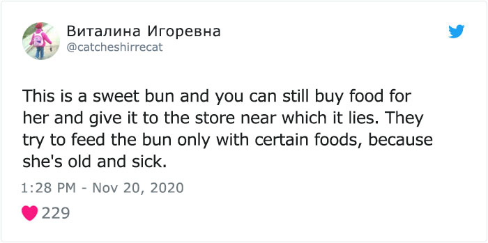 This Dog Is A Local Landmark In Tbilisi, Georgia With A Personal Google Maps Mark And Positive Reviews