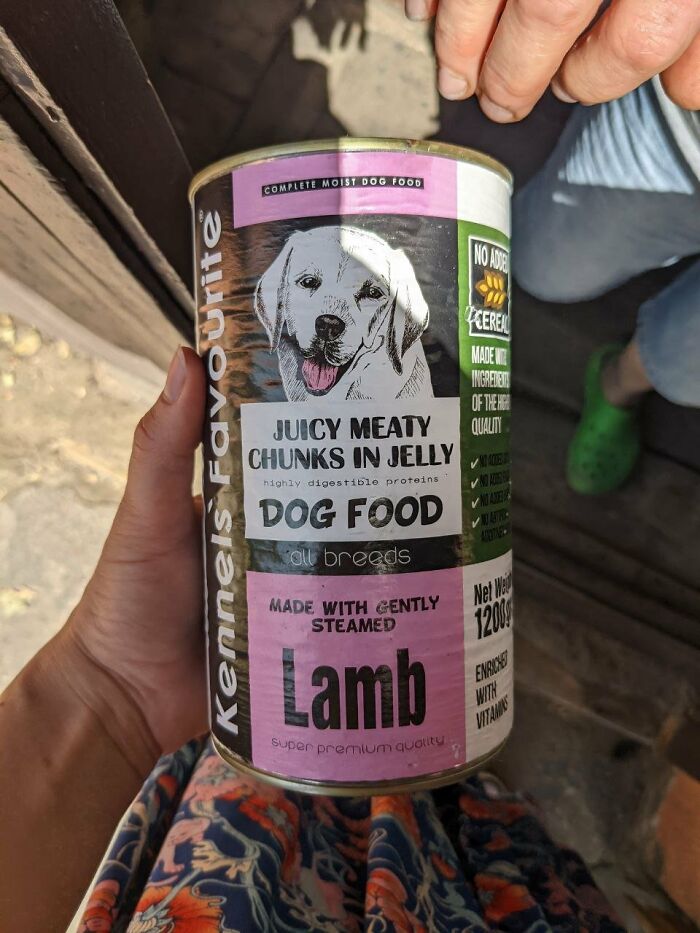 This Dog Is A Local Landmark In Tbilisi, Georgia With A Personal Google Maps Mark And Positive Reviews