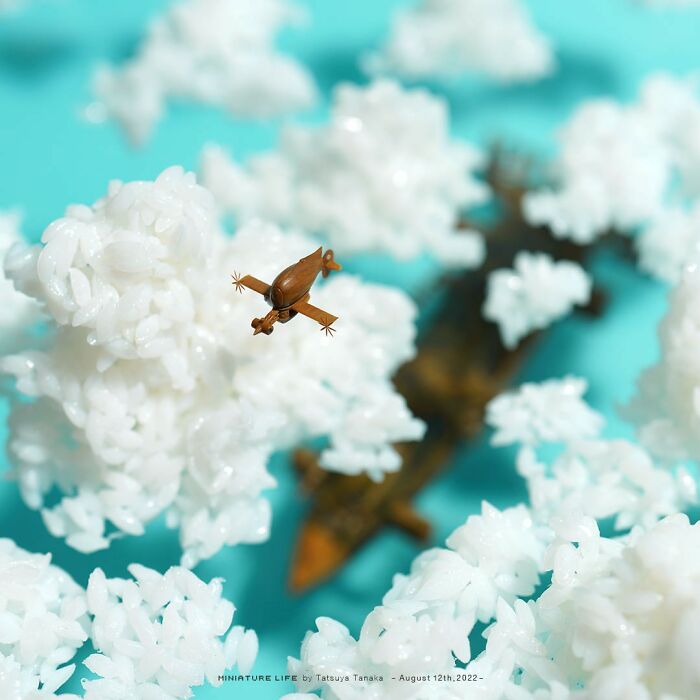 Meet The Small And Creative World Of Artist Tatsuya Tanaka (New Pics)