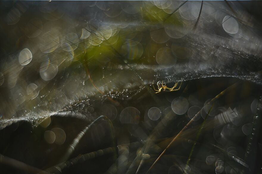 Nature Is Beautiful!