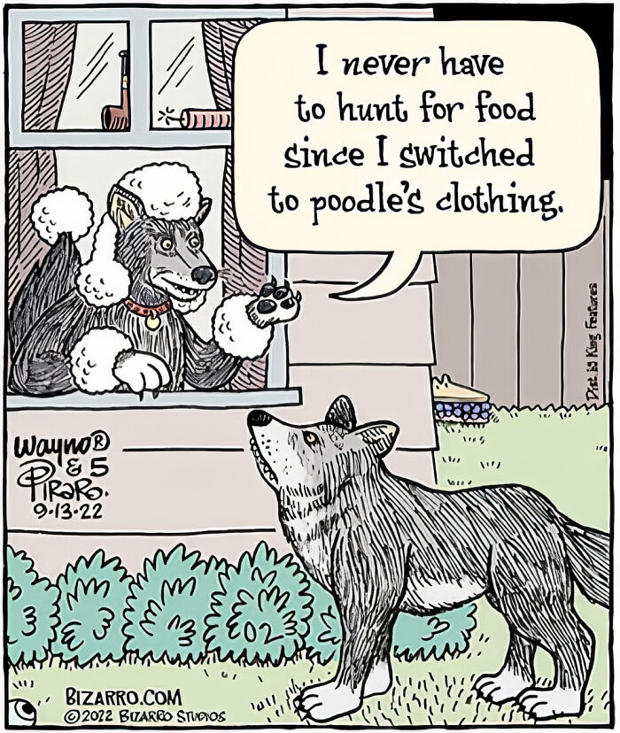 New Funny Single Panel Comics By Dan Piraro