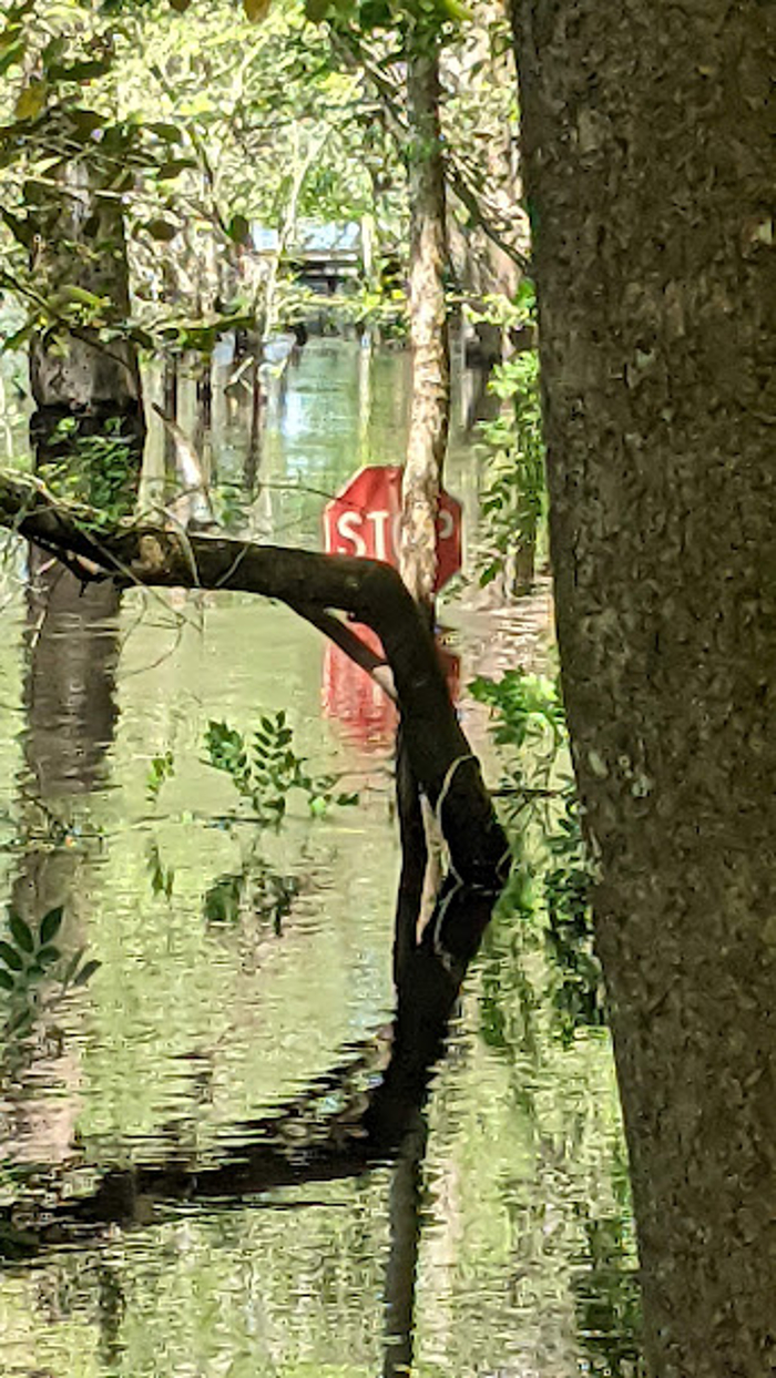 Stop Sign In A Flood :)