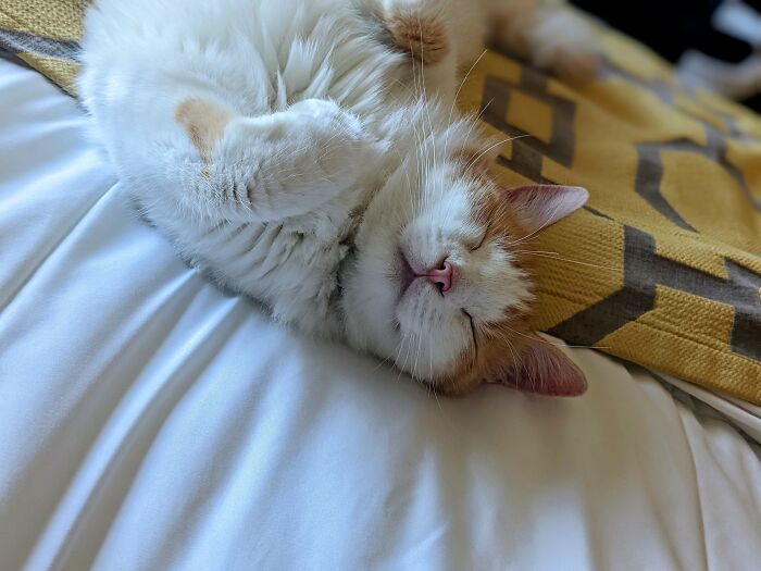 My Precious Phoebe Girl 🫶