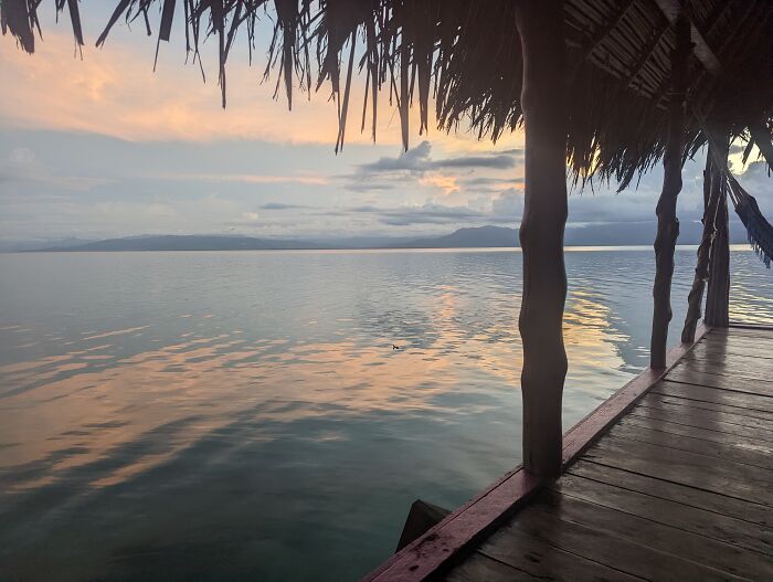 My Lonely Thanksgiving. Perfect