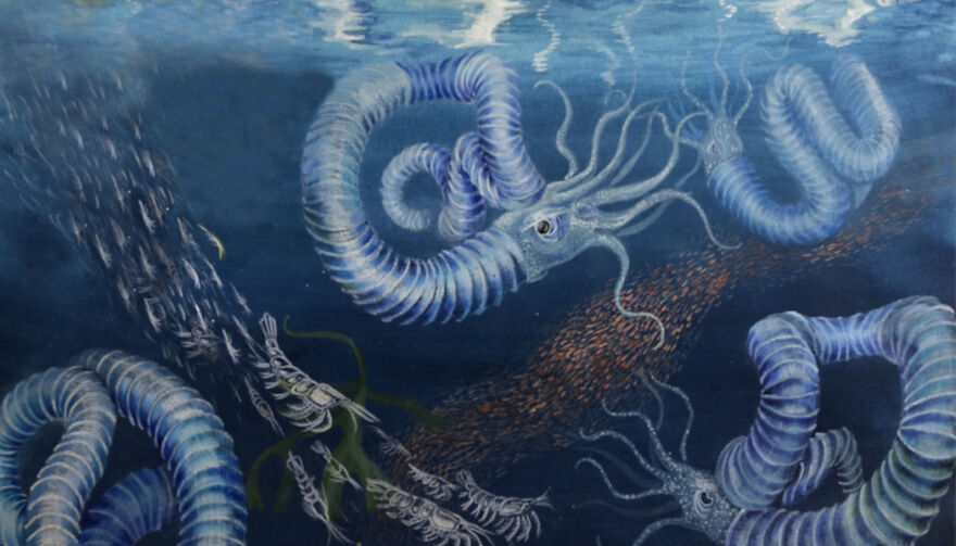 Paleontology Book The First Of Its Kind To Cover This Important Group Of Animals