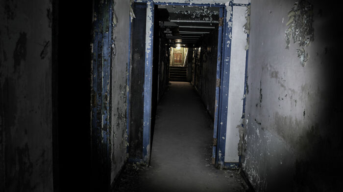 Go Towards The Light