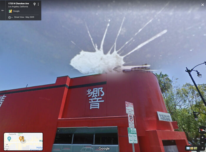 A Bird Pooped At The Wrong Time