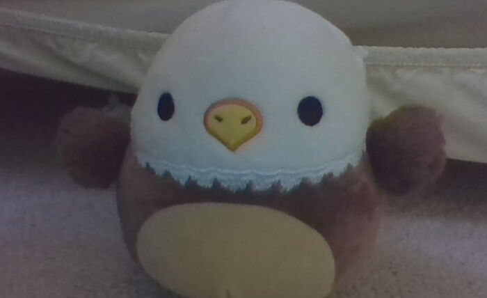 My Friend Won Me This At An Arcade Yesterday