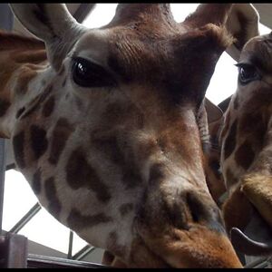 kay_meurig-bowden avatar