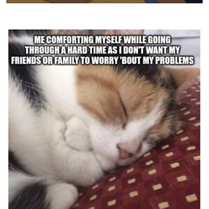 henriettaowolabi avatar