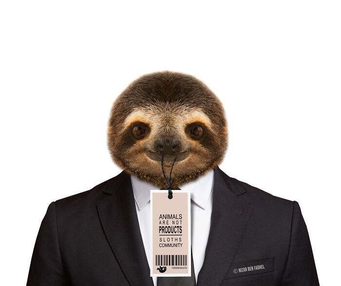 Animals Are Not Products (6 Pics) Animals Are Not Products (6 Pics)