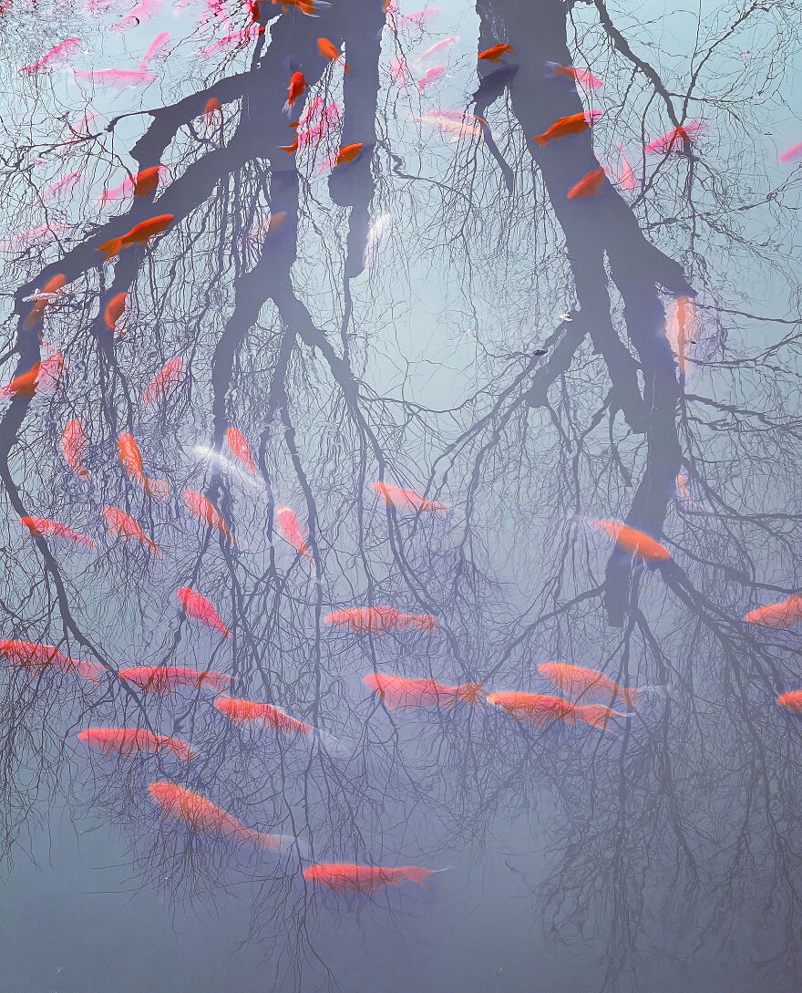 Photographer Of The Year Winner: Liu Kunkun