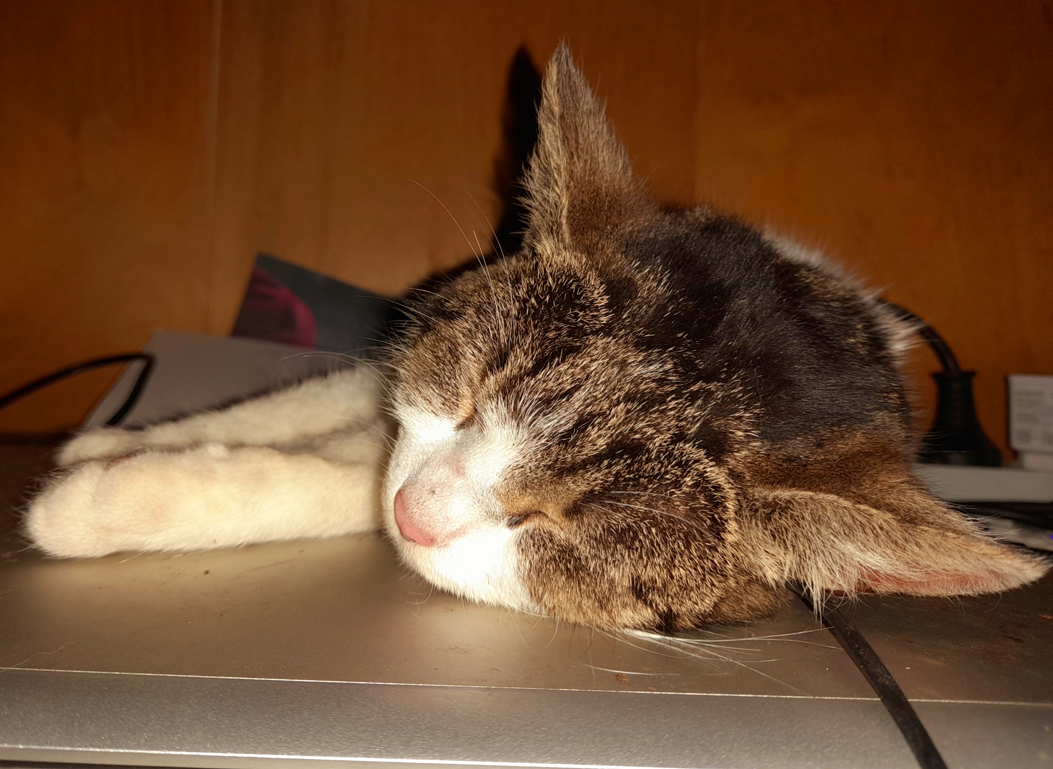 The Thing Which Are You Most Proud Of From Last Month In Image