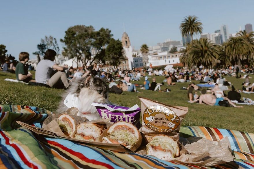 Mission Dolores Park