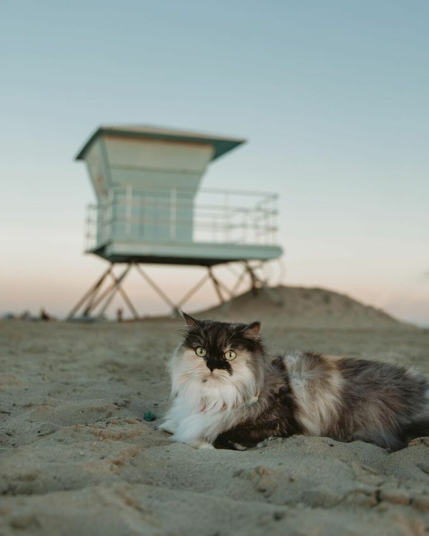 Long Beach, California