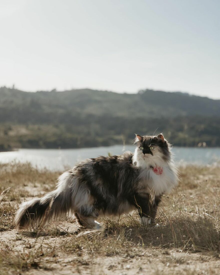 Crystal Springs Reservoir