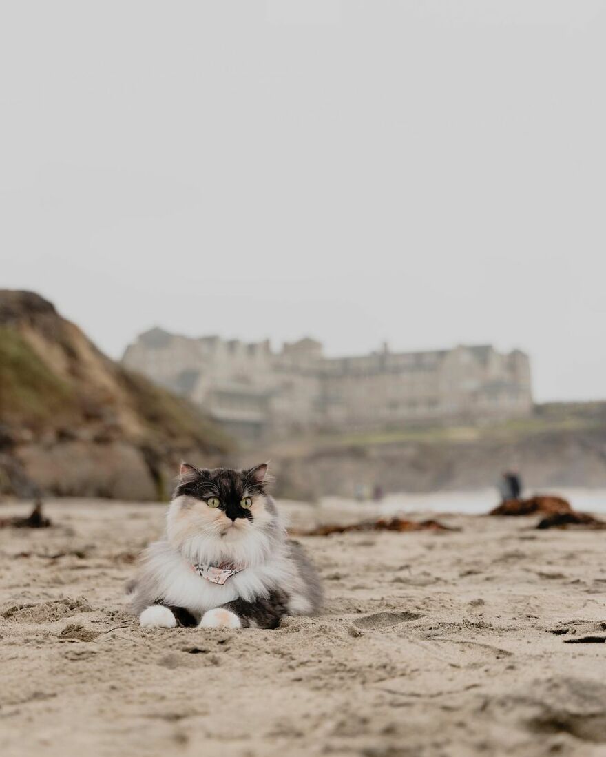 Half Moon Bay, California