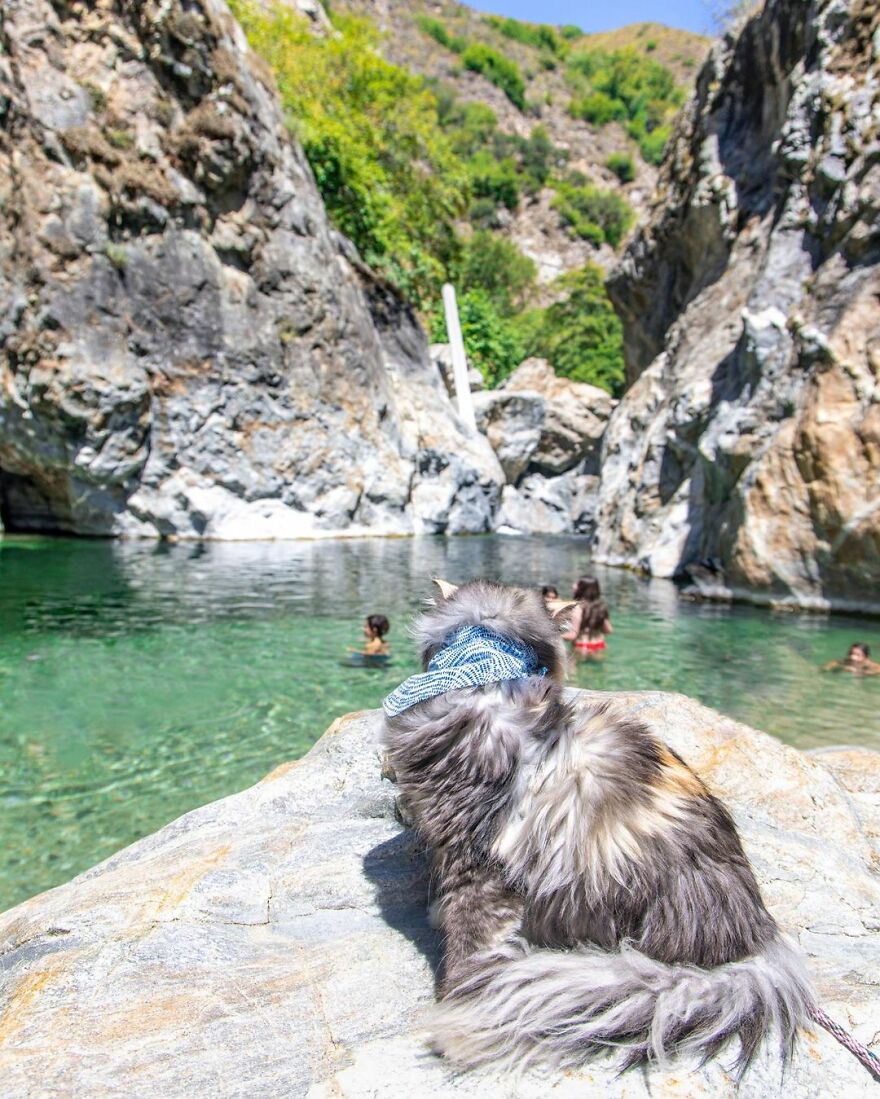 Big Sur, Pacific Coast Highway