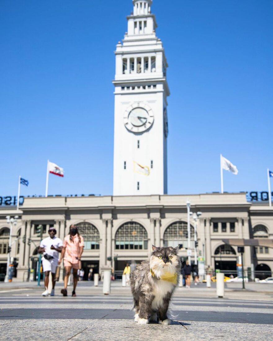 San Francisco Ferry Building
