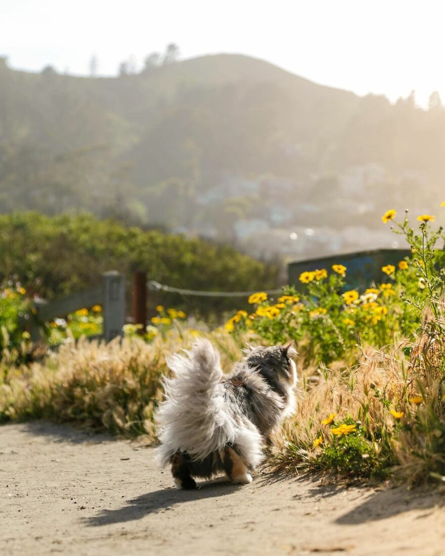 Pacifica, California