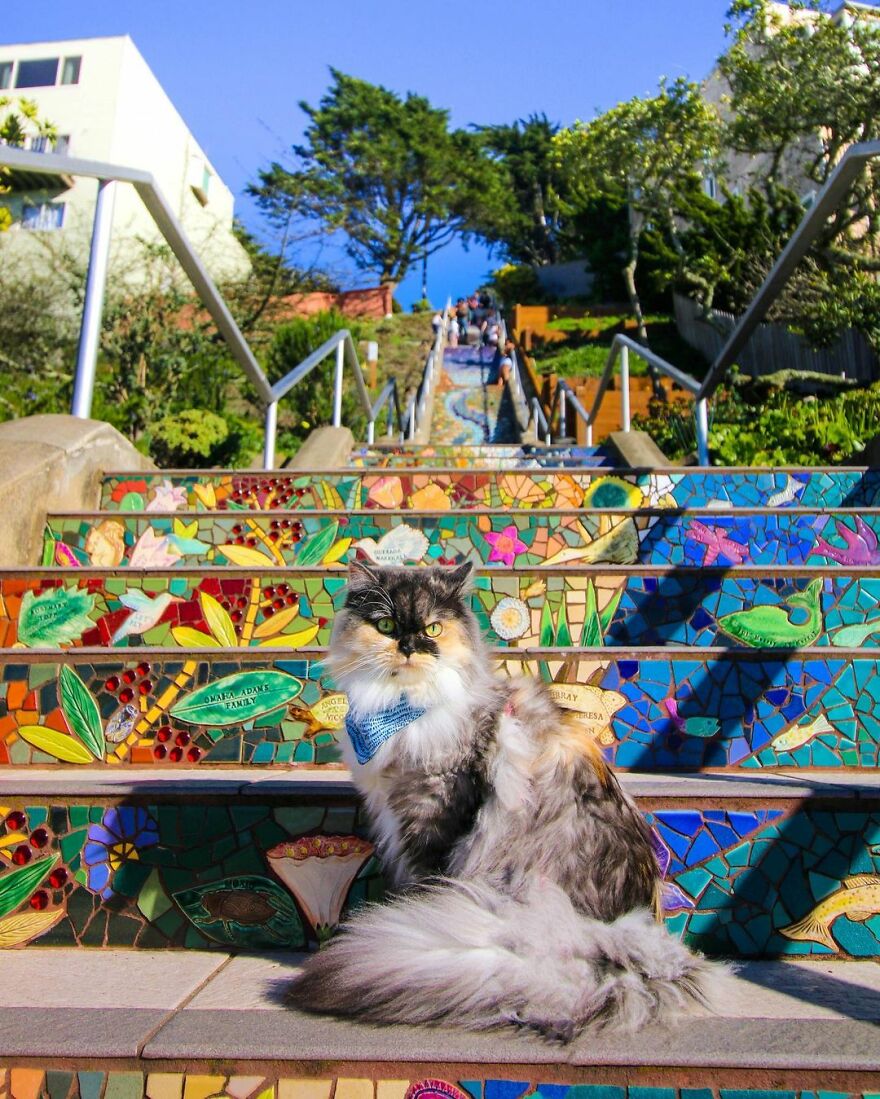 The 16th Ave Tiled Steps