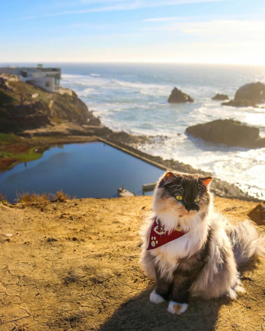 Sutro Baths