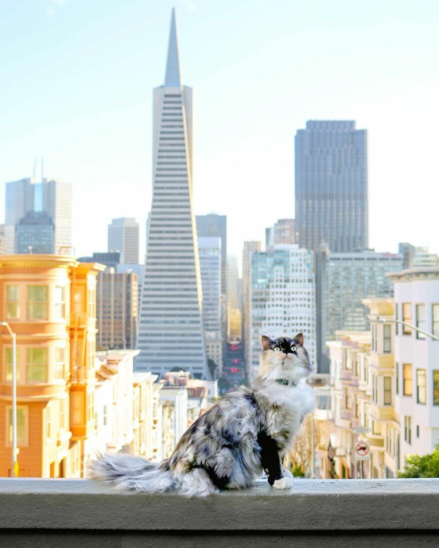 San Francisco, California