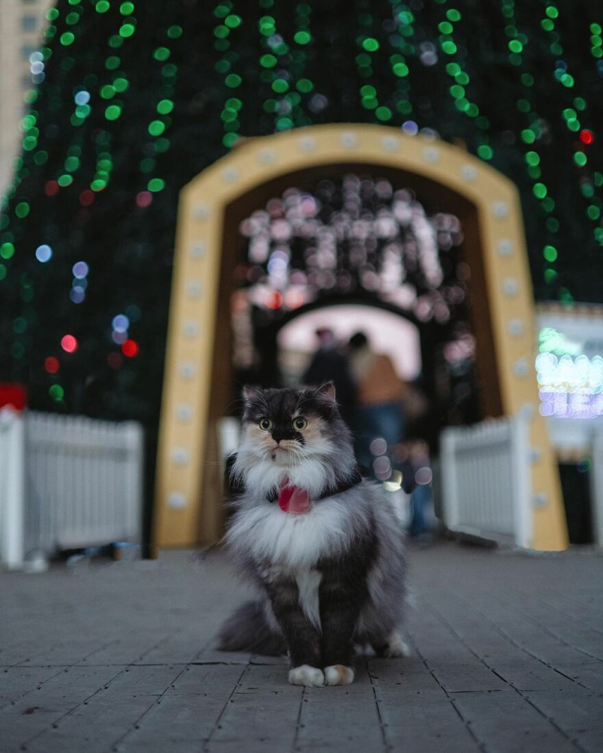 San Jose, California