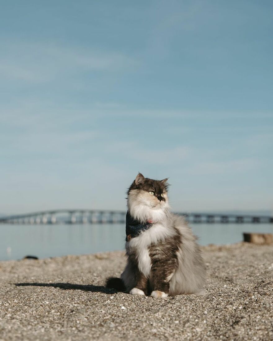 Foster City, California