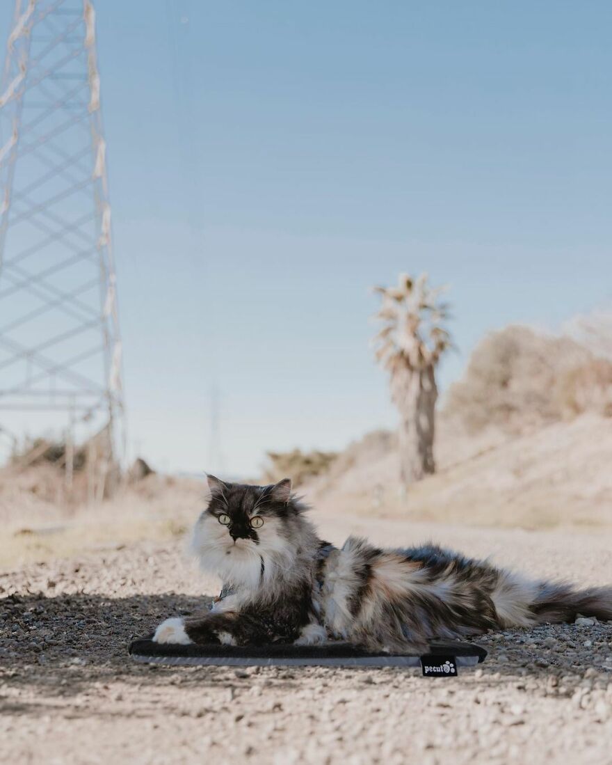 Mountain View, California