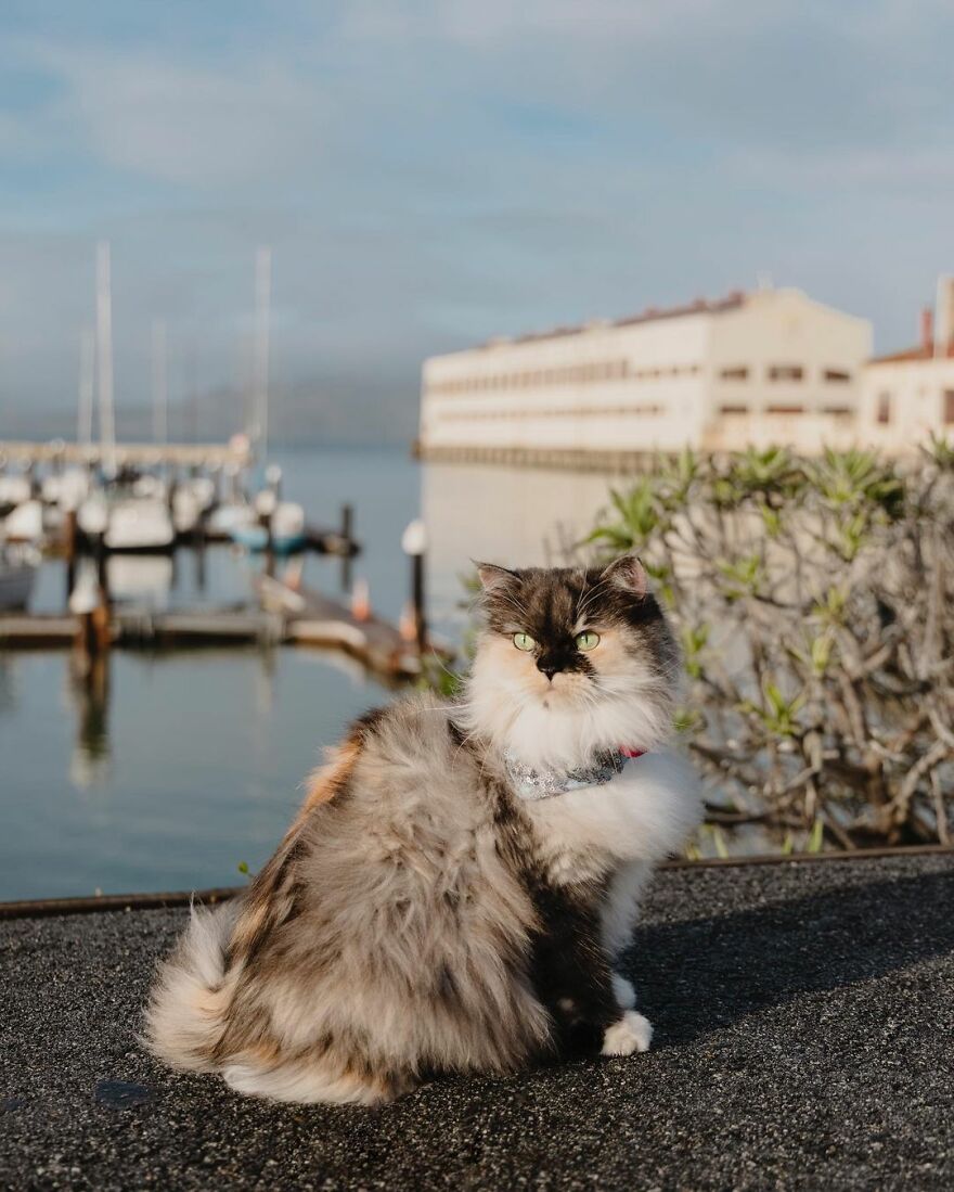 Fort Mason San Fancisco