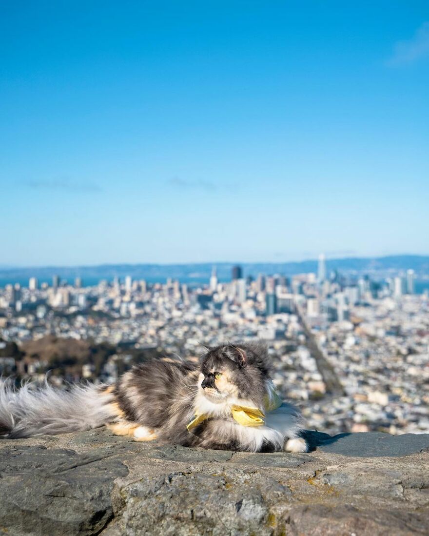Twin Peaks (San Francisco)