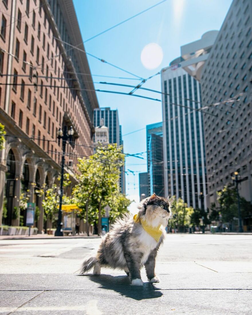 San Francisco, California