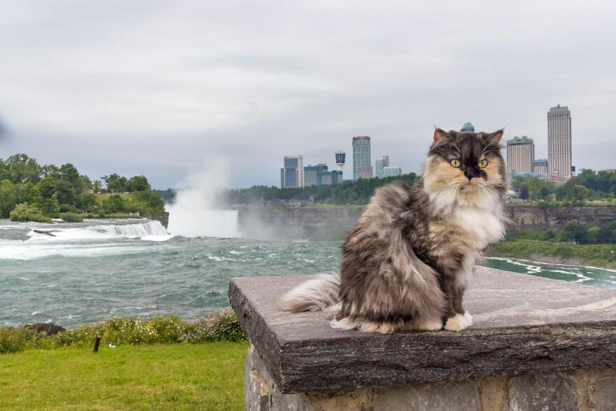 Niagara Falls State Park, USA