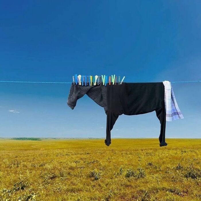 Instagram Account Collects And Shares Pictures That Capture Chance Encounters In Public Places (50 New Pics)