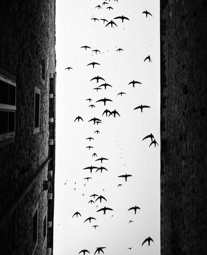 Instagram Account Collects And Shares Pictures That Capture Chance Encounters In Public Places (50 New Pics)