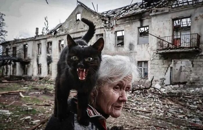 Instagram Account Collects And Shares Pictures That Capture Chance Encounters In Public Places (50 New Pics)